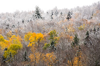 Late Fall at Middlebury Gap