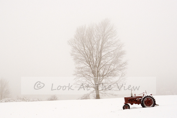 Tree Tractor In Snow Fog
