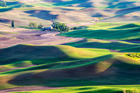 Day's End On The Palouse