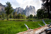 Yosemite Meadow with Sentinel Dome